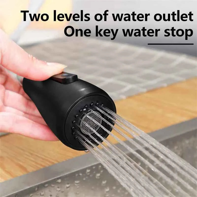 Stainless Steel Pull-Out Faucet